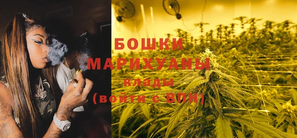 молекула духа Бугульма