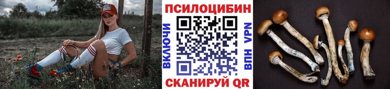 Псилоцибиновые грибы Magic Shrooms  kraken как зайти  Тюмень  где продают наркотики 